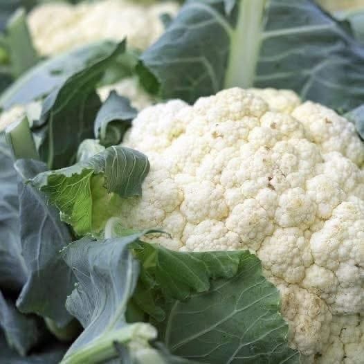 ¿La coliflor causa problemas de salud? Esto es lo que realmente dice la ciencia