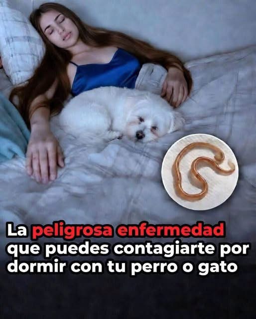 Dormir con mascotas: beneficios, riesgos y qué dice la ciencia