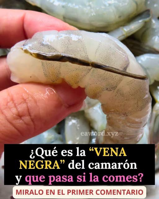 ¿Qué es realmente la línea negra del camarón? La verdad detrás del llamado “intestino” del marisco