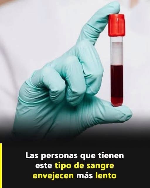 ¿Existe un tipo de sangre que hace envejecer más lentamente? Esto es lo que dice la ciencia
