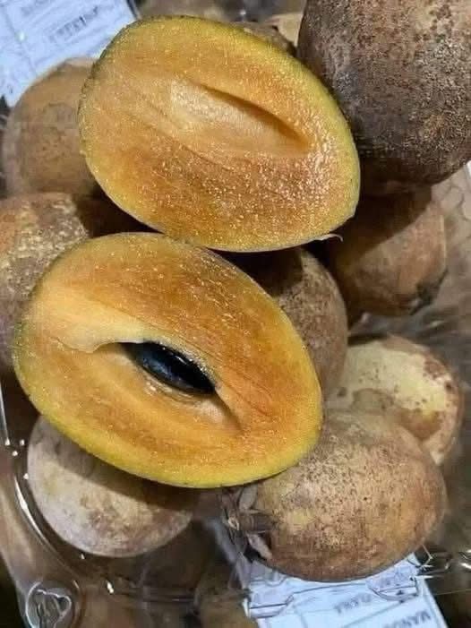Zapote: los verdaderos beneficios de esta fruta tropical y los mitos sobre sus supuestos poderes curativos