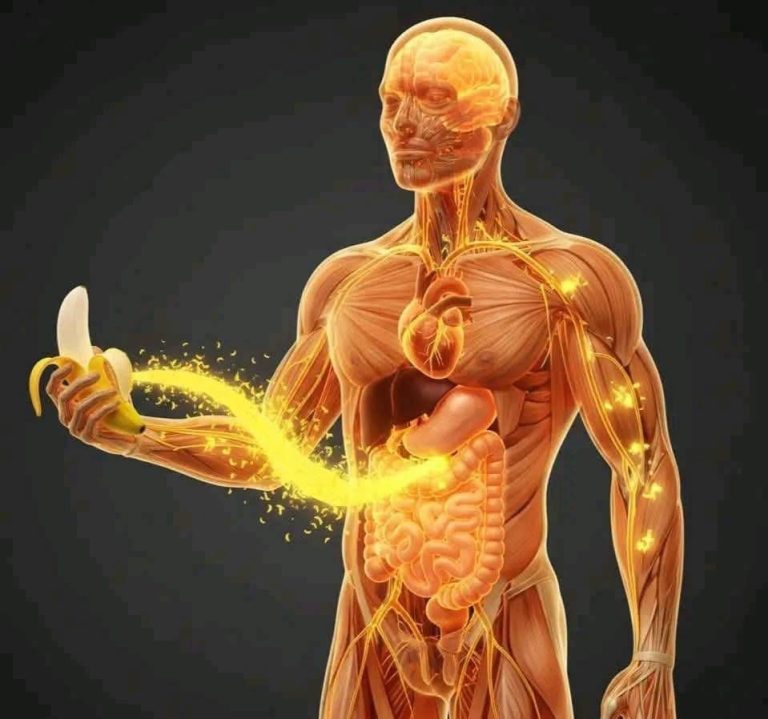 ¿Qué ocurre si comes un plátano todos los días? Beneficios reales respaldados por la ciencia