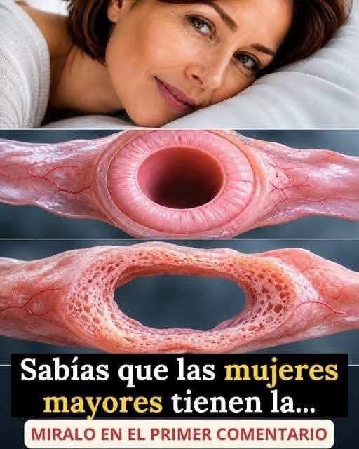 ¿Las mujeres mayores tienen la vagina más grande? Lo que realmente dice la ciencia sobre los cambios con la edad