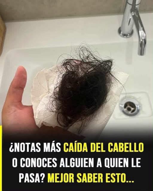 ¿Cómo detener la caída del cabello? Lo que realmente dice la ciencia sobre los tratamientos más efectivos