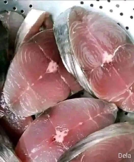 ¿Qué ocurre realmente cuando comes pescado con frecuencia? Beneficios, riesgos y lo que dice la ciencia
