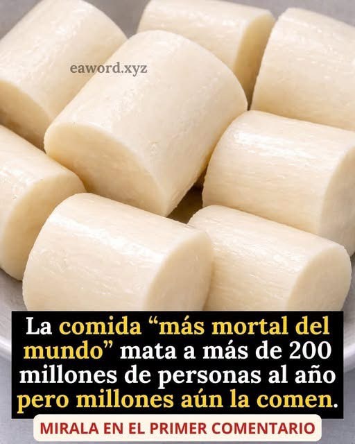 ¿La yuca puede ser peligrosa? Beneficios, riesgos y cómo consumirla de forma segura