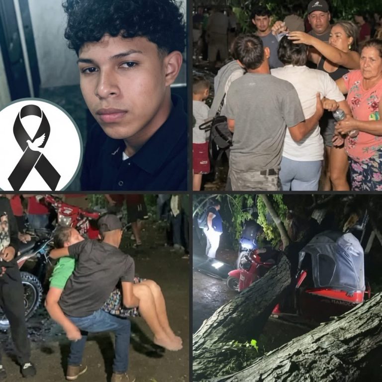 Joven muere tras ser aplastado por un árbol mientras estaba sentado en su motocicleta