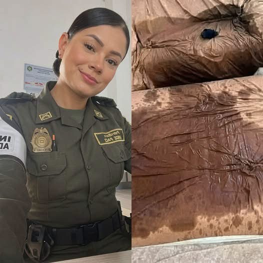 ¿Qué ocurrió con la joven policía? Esto es lo que realmente puede confirmarse sobre la publicación viral