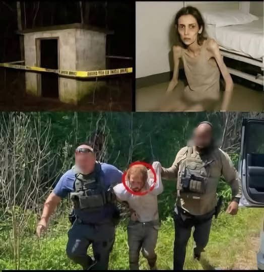 ¿Qué ocurrió realmente? La verdad detrás de la imagen viral que conmociona las redes sociales