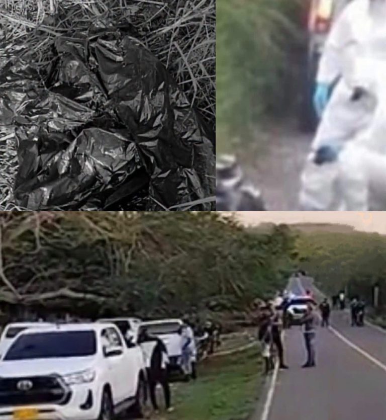 ¿Qué ocurrió realmente? La verdad detrás de la imagen viral de las bolsas negras halladas a un costado de una carretera