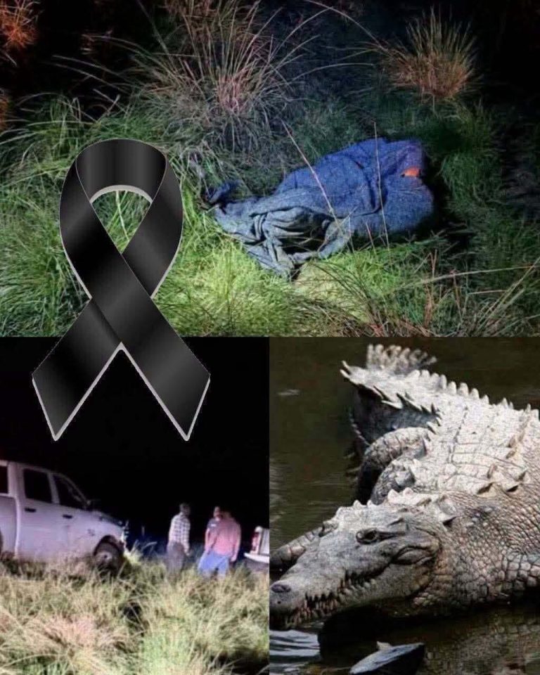 Se viraliza publicación que afirma que un cocodrilo acabó con la vida de una persona: esto es lo que realmente puede confirmarse