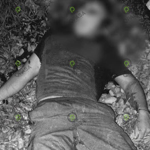 El misterioso hallazgo que cambió la tranquilidad de un pequeño pueblo: una historia completamente ficticia