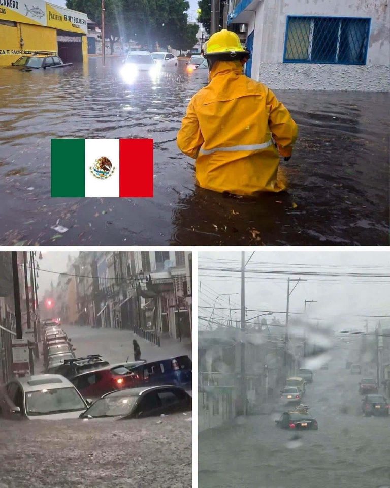 Fuertes lluvias provocan inundaciones y mantienen en alerta a varias zonas de México: historia ficticia inspirada en una imagen viral