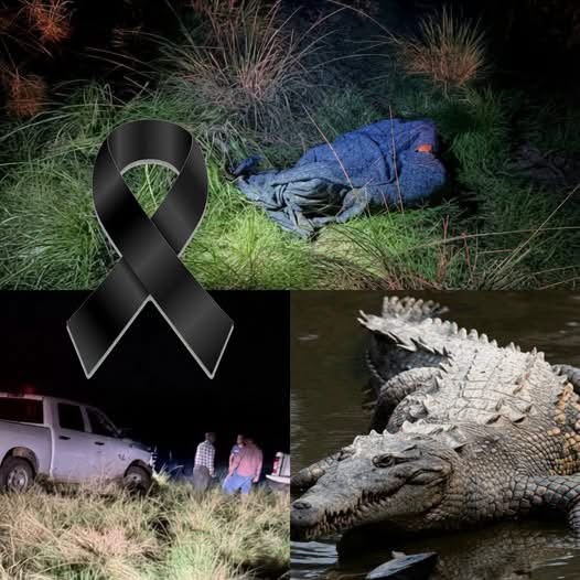 Publicación viral sobre un presunto ataque de cocodrilo genera conmoción: esto es lo que realmente puede verificarse
