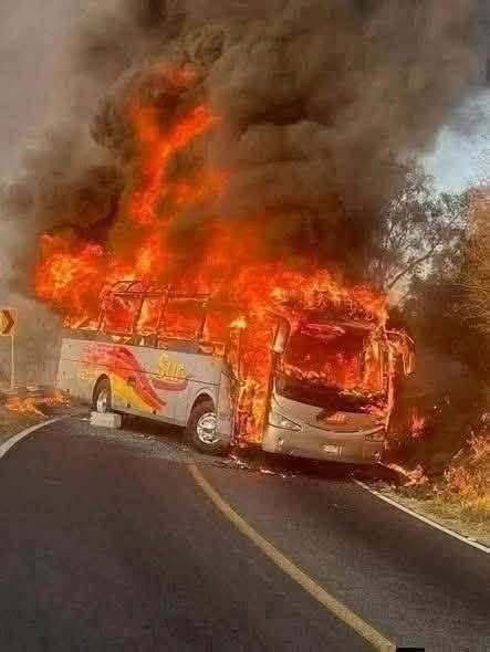 Publicación viral sobre un autobús en llamas genera conmoción: esto es lo que realmente se conoce