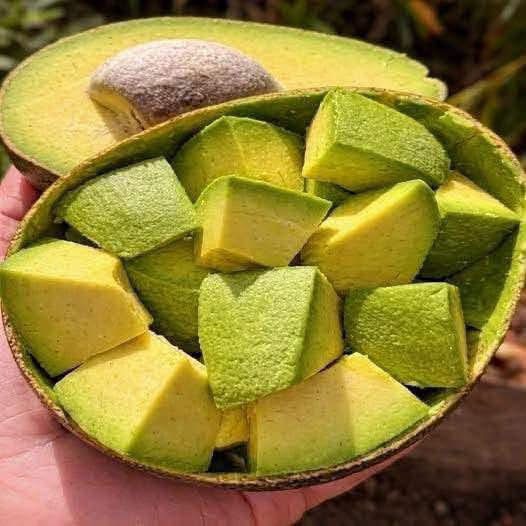 El consumo diario de aguacate está provocando cambios inesperados en el cuerpo: esto dice la ciencia