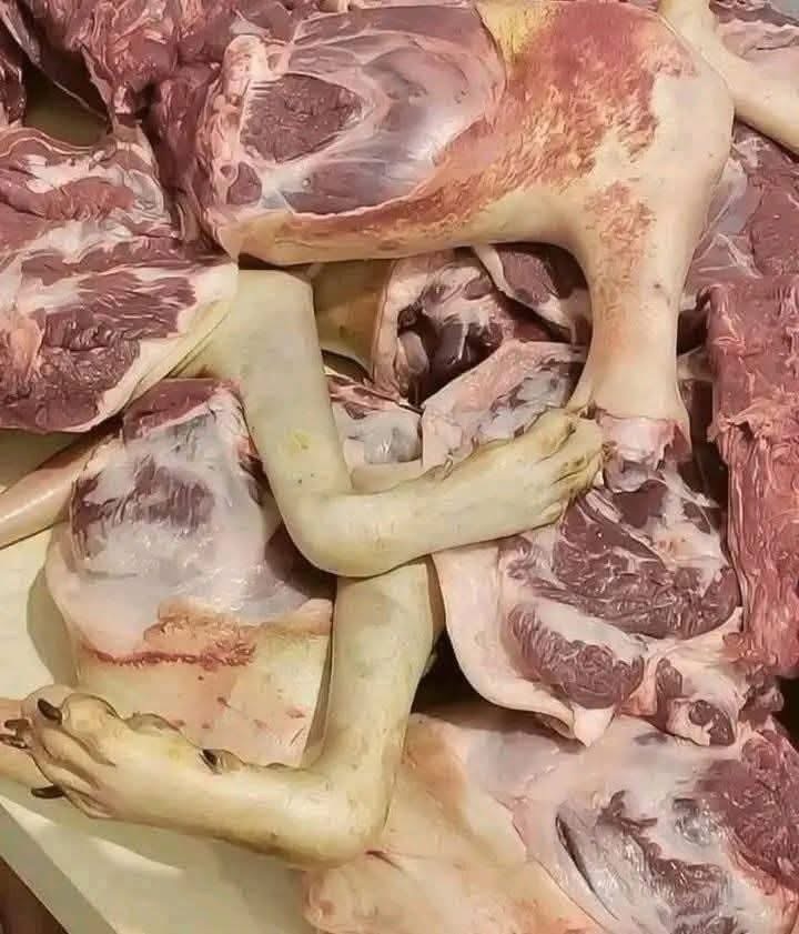 Publicación afirma que un hombre fue capturado en México por vender presunta carne de perro