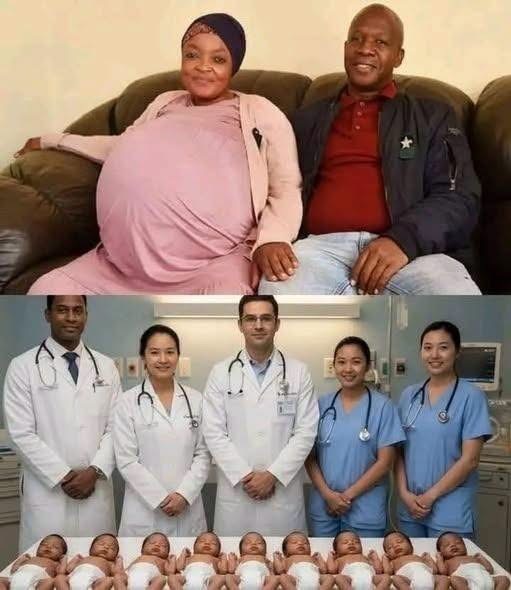 Increíble imagen de numerosos bebés sorprende en redes: esto es lo que debes saber