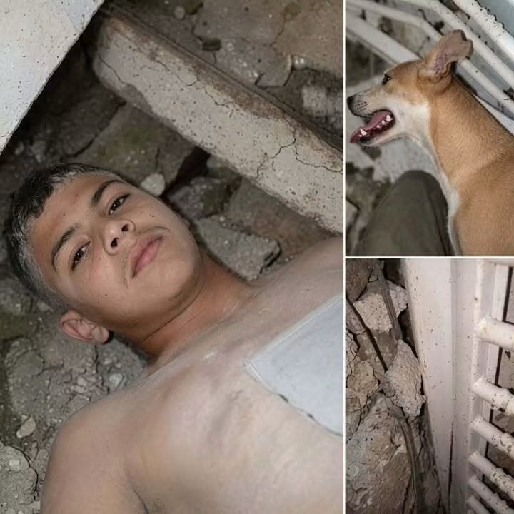 UN JOVEN APARECE BAJO LOS ESCOMBROS JUNTO A UN PERRO… LA HISTORIA DE LAS 336 HORAS GENERÓ DUDAS EN REDES