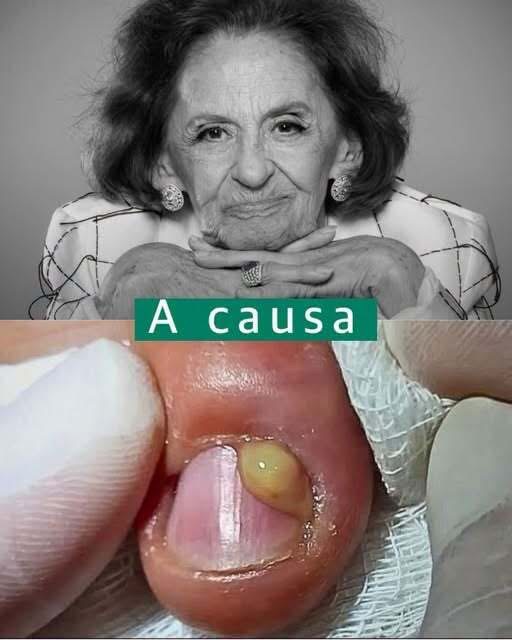 BRASIL DESPIDE A LAURA CARDOSO A LOS 98 AÑOS… LA VERDAD SOBRE SUS ÚLTIMOS MOMENTOS Y LA IMAGEN QUE CONFUNDIÓ A MUCHOS