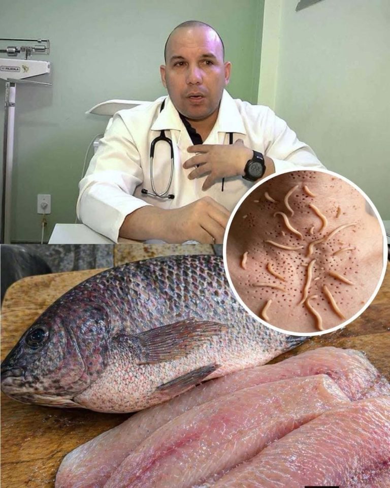 TILAPIA: EL PESCADO QUE GENERA DEBATE… Y LO QUE REALMENTE DICE LA CIENCIA SOBRE SU CONSUMO