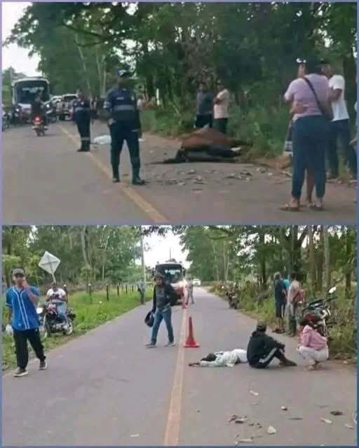 ACCIDENTE EN PLANETA RICA GOLPEA A UNA FAMILIA… UN CABALLO ESTABA SUELTO EN LA CARRETERA