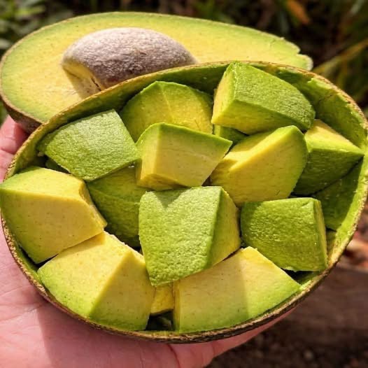 COMER AGUACATE TODOS LOS DÍAS PUEDE CAMBIAR TU ALIMENTACIÓN… PERO HAY UN DETALLE QUE MUCHOS PASAN POR ALTO