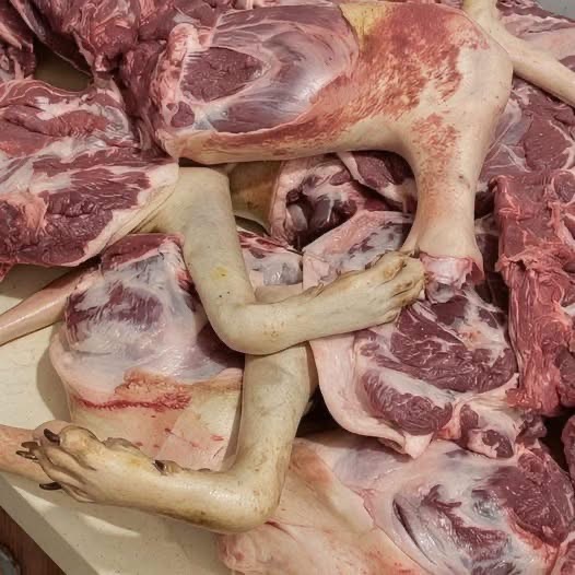 ASEGURABAN QUE UN HOMBRE VENDÍA UNA CARNE MUY DIFERENTE EN MÉXICO… PERO AL INVESTIGAR LA HISTORIA APARECIÓ UN DETALLE INESPERADO