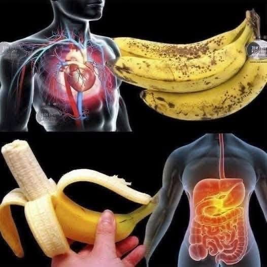 COMER PLÁTANO CON FRECUENCIA PUEDE APORTAR ESTOS BENEFICIOS… PERO HAY ALGO IMPORTANTE QUE DEBES SABER