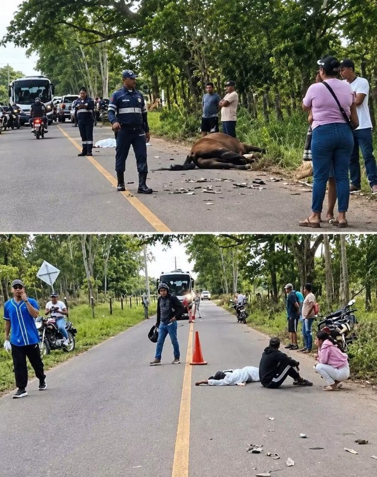 ABUELO Y SU NIETA SUFRIERON UN FUERTE ACCIDENTE TRAS IMPACTAR CONTRA UN CABALLO… EL CASO CONMOCIONÓ A PLANETA RICA