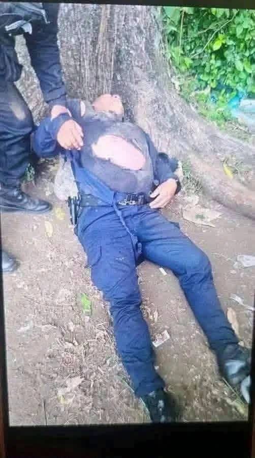 ENCUENTRAN A UN MIEMBRO DE SEGURIDAD JUNTO A UN ÁRBOL… PERO LA IMAGEN VIRAL DEJA VARIAS PREGUNTAS SIN RESPUESTA