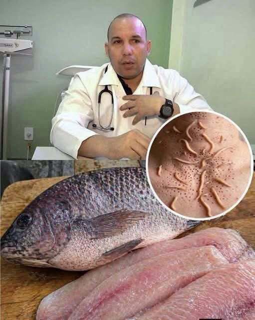 ¿Comer tilapia puede causar parásitos? Esto es lo que realmente se sabe