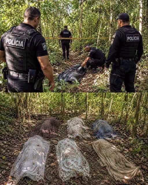 Hallazgo en zona boscosa moviliza a la policía y genera inquietud en redes