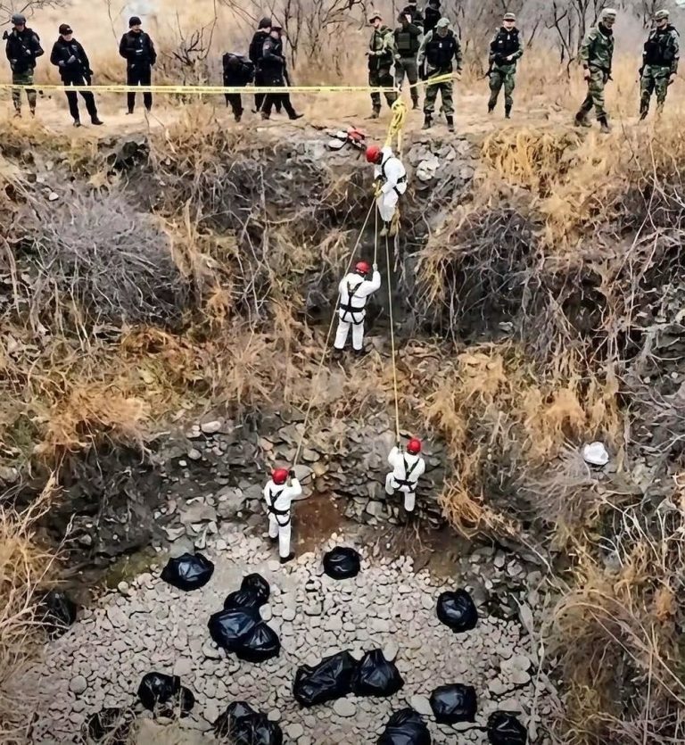 OPERATIVO EN ZONA AISLADA GENERA ALERTA TRAS UN IMPACTANTE HALLAZGO BAJO INVESTIGACIÓN