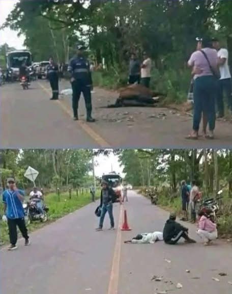 ABUELO Y SU NIETA SUFREN GRAVE INCIDENTE TRAS IMPACTAR CONTRA UN CABALLO EN PLENA CARRETERA