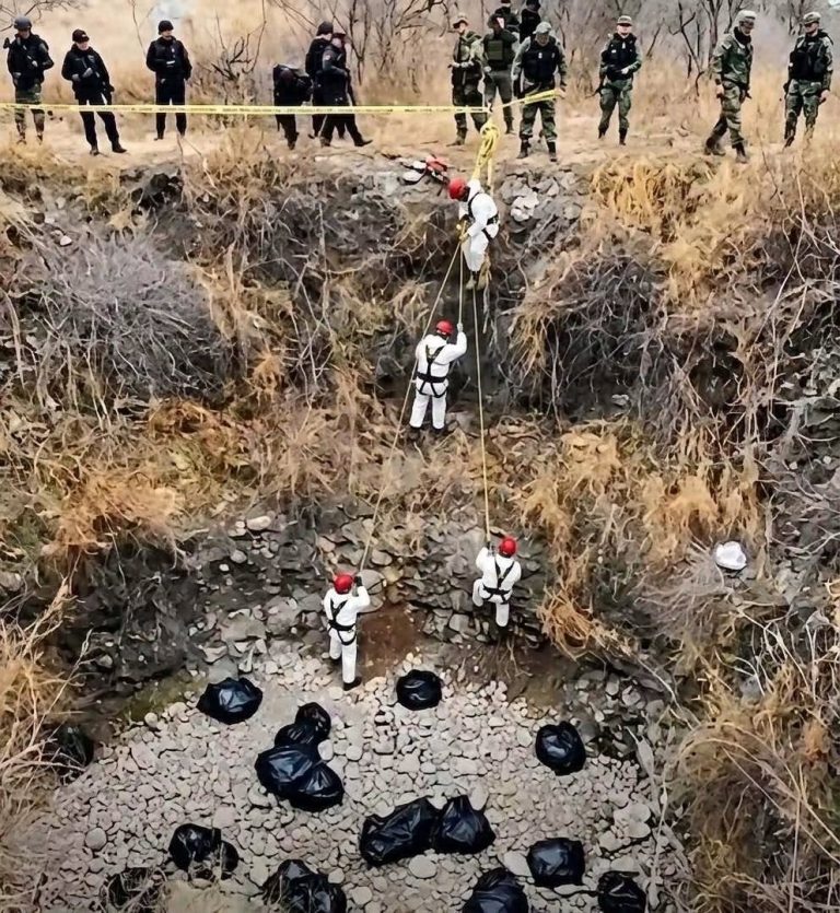 Hallazgo durante un operativo moviliza a las autoridades en una zona aislada