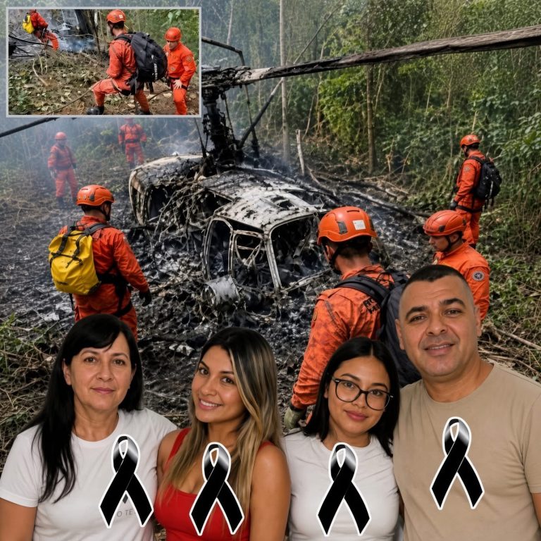 Accidente aéreo en zona boscosa genera conmoción y moviliza a equipos de rescate