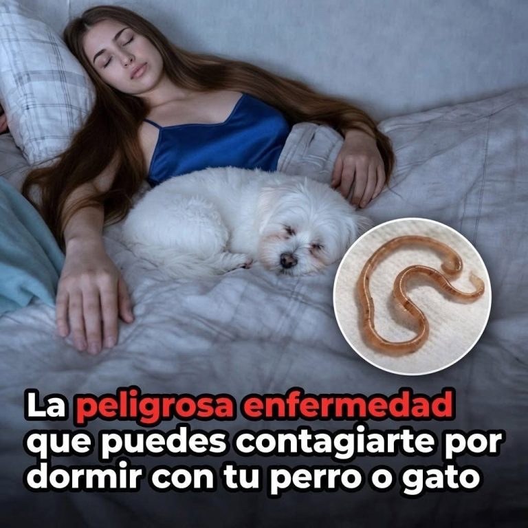 Dormir con tu mascota: qué riesgos reales existen y qué debes saber antes de compartir la cama