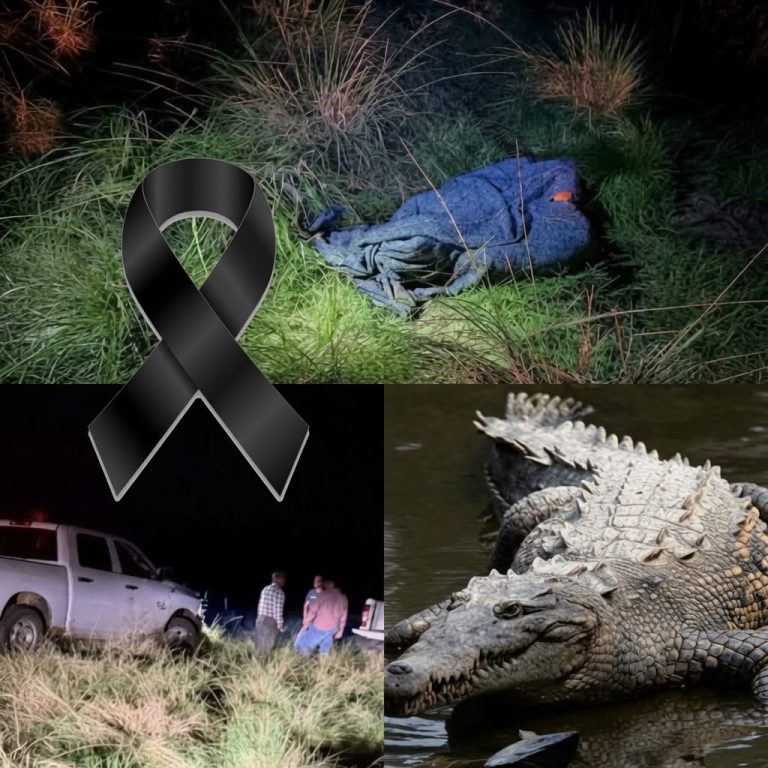 Supuesto ataque de cocodrilo genera preocupación tras difundirse impactantes imágenes de una zona rural